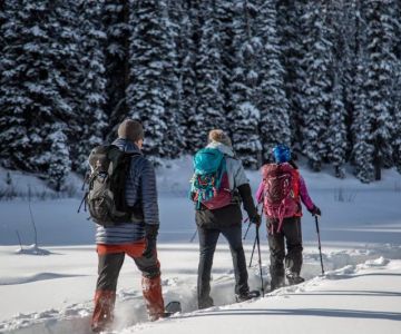 Best Campsites for Snowshoeing and Winter Fun – Top Destinations for Winter Adventures