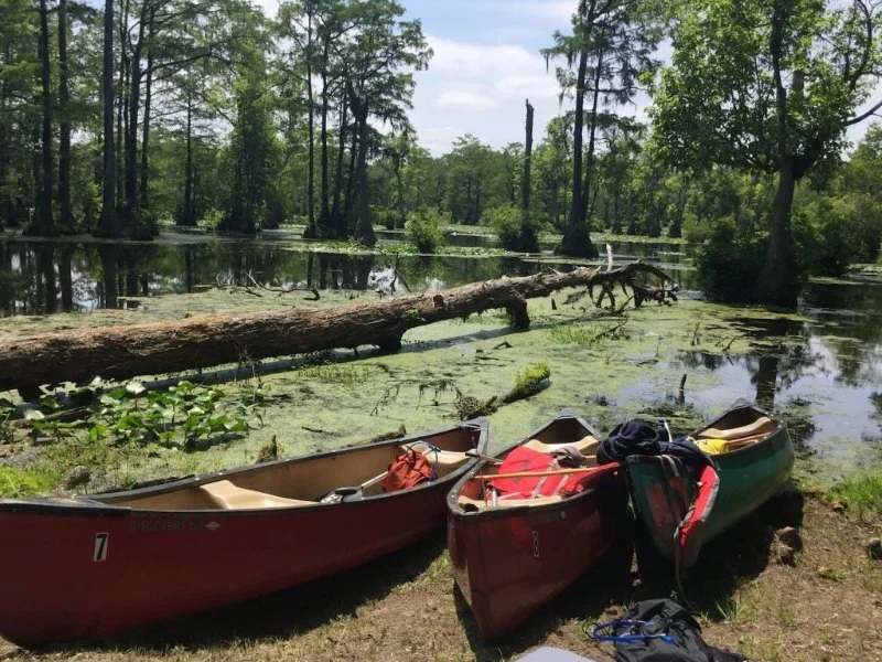 Best U.S. Campgrounds for Canoeing Adventures