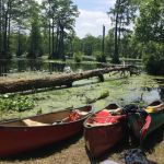 Best U.S. Campgrounds for Canoeing Adventures