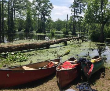 Best U.S. Campgrounds for Canoeing Adventures