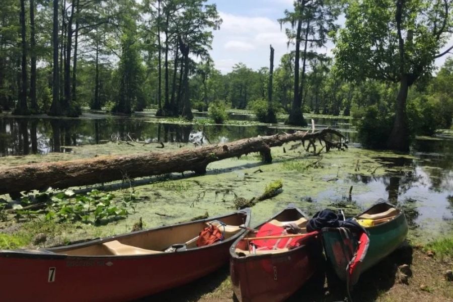Best U.S. Campgrounds for Canoeing Adventures