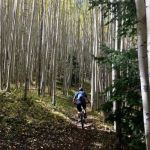 Best Campsites for Mountain Biking in the U.S.