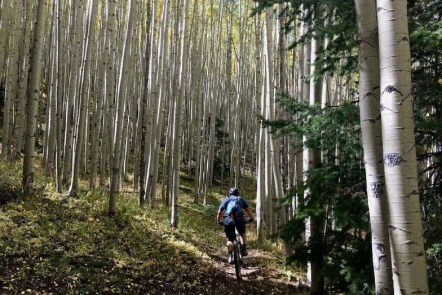 Best Campsites for Mountain Biking in the U.S.