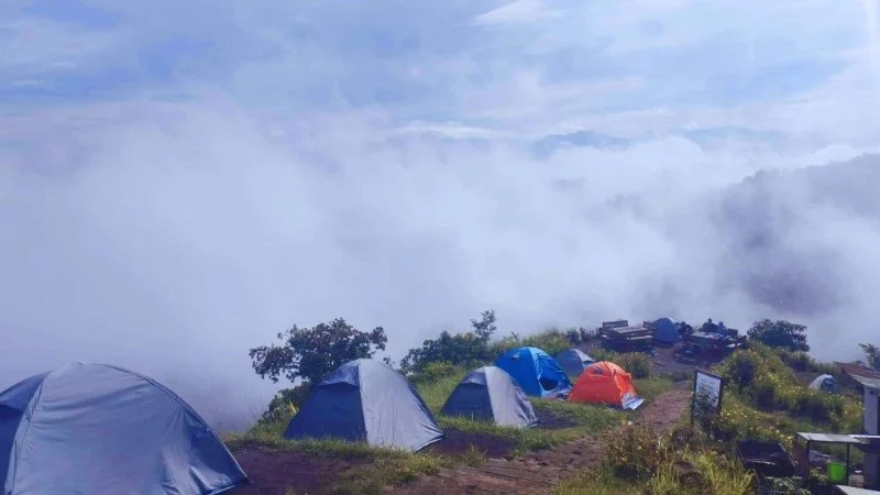 Best Scenic Campsites for Hiking Enthusiasts | Camp Spotter