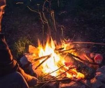 How to Use Campfire Heat to Dry Firewood Effectively and Safely