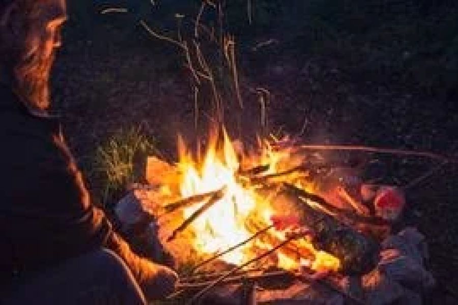 How to Use Campfire Heat to Dry Firewood Effectively and Safely