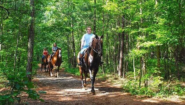 The Best Campsites for Horseback Riding Adventures