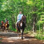 The Best Campsites for Horseback Riding Adventures