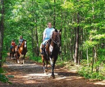The Best Campsites for Horseback Riding Adventures