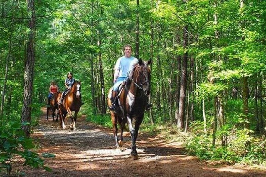 The Best Campsites for Horseback Riding Adventures