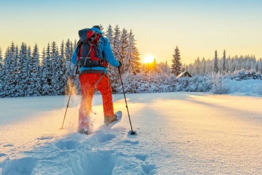 Best Winter Camping Spots for Snowshoeing | Scenic Mountain Campgrounds
