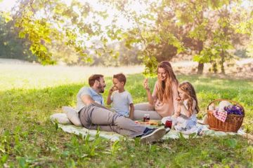 Best Family-Friendly Campsites with Picnic Areas
