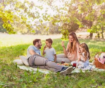 Best Family-Friendly Campsites with Picnic Areas