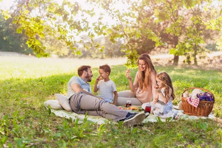 Best Family-Friendly Campsites with Picnic Areas