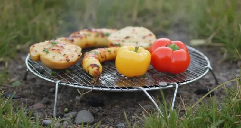 How to Cook Vegetables on a Campfire Grill: Easy & Delicious Tips