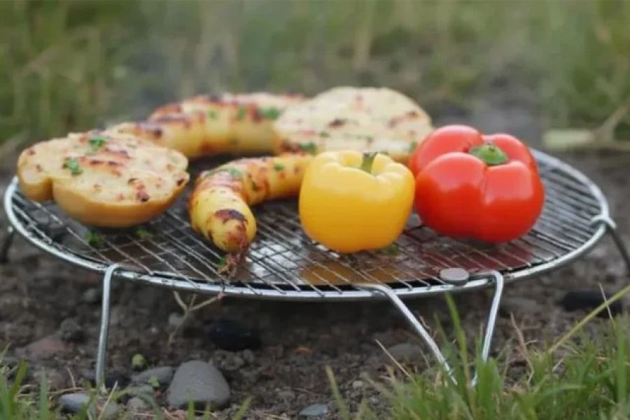 How to Cook Vegetables on a Campfire Grill: Easy & Delicious Tips