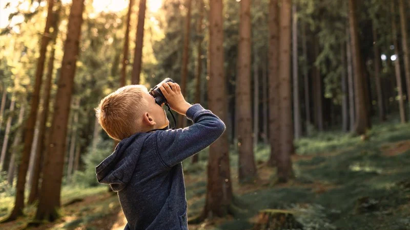 How to Camp with Kids Without Losing Your Mind: Tips for a Stress-Free Adventure