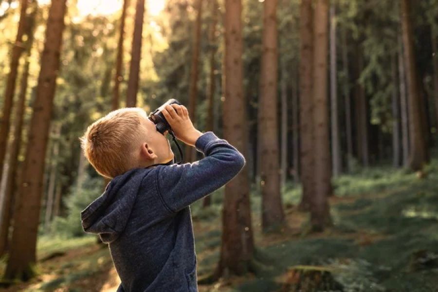 How to Camp with Kids Without Losing Your Mind: Tips for a Stress-Free Adventure