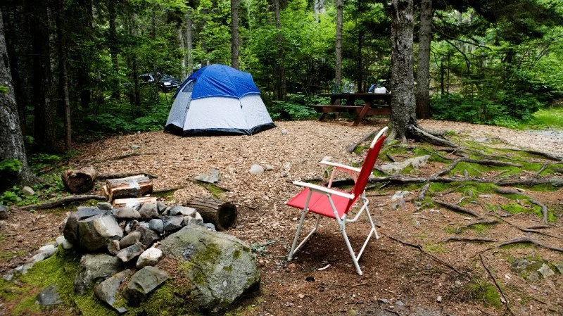 How to Set Up a Campsite for Privacy – Expert Tips and Ideas