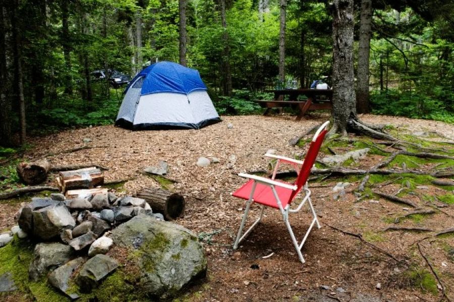 How to Set Up a Campsite for Privacy – Expert Tips and Ideas