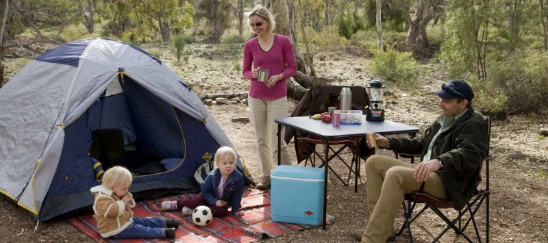 How to Stay Safe While Camping in Cougar Country