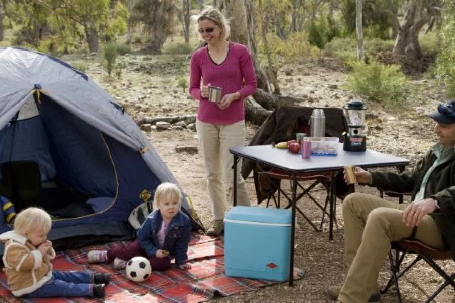 How to Stay Safe While Camping in Cougar Country