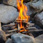 How to Build a Campfire When You Have No Firewood: Survival Tips and Tricks