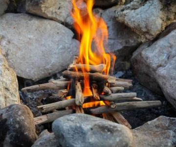 How to Build a Campfire When You Have No Firewood: Survival Tips and Tricks