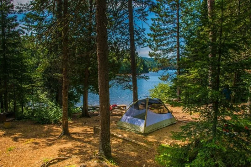 Best Campsites for Hiking and Nature Exploration: Top Spots and Tips