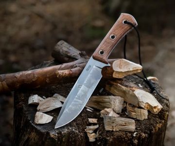 Top 5 Camping Knives and Tools You Should Always Bring