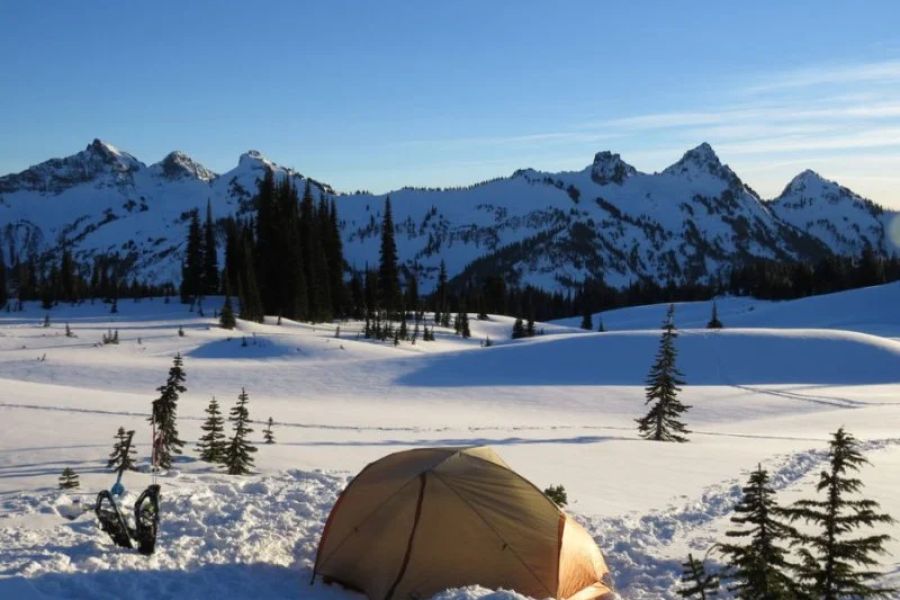 Best Winter Campsites for Cozy Outdoor Adventures