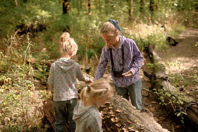 How to Enjoy Nature Without Technology: Tips and Activities