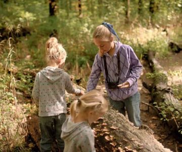 How to Enjoy Nature Without Technology: Tips and Activities