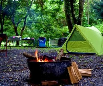 How to Plan a Camping Trip Around Local Festivals and Events