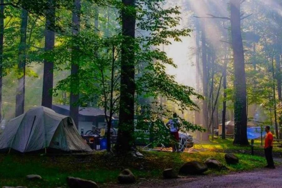 Top 5 Campgrounds with the Most Scenic Views | Best Camping Locations
