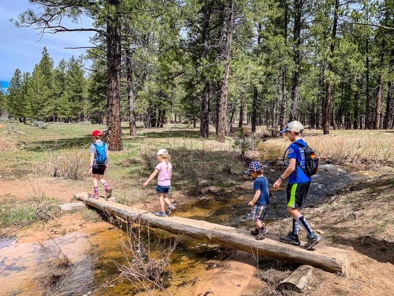 Best Campsites for Hiking with Children: Family-Friendly Adventure Awaits