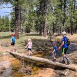 Best Campsites for Hiking with Children: Family-Friendly Adventure Awaits