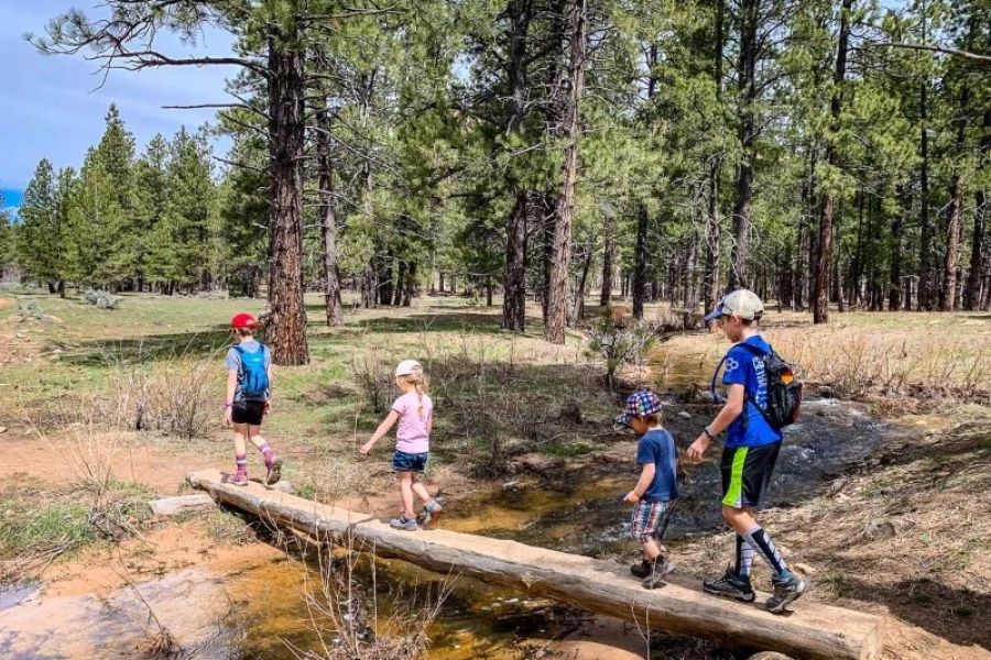 Best Campsites for Hiking with Children: Family-Friendly Adventure Awaits