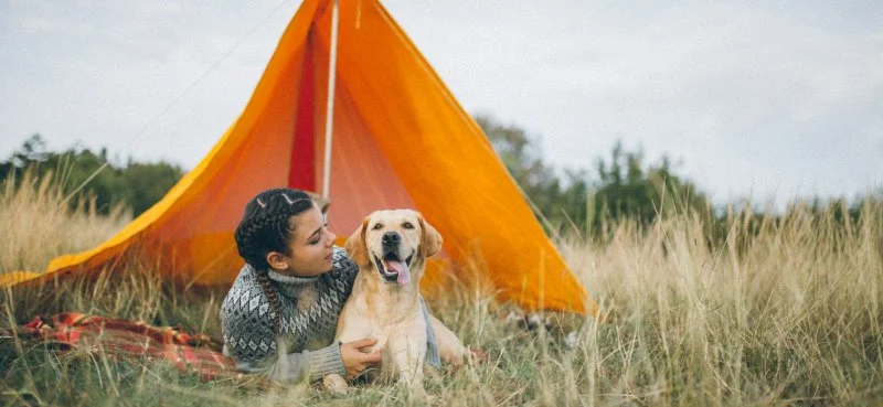 Top 5 Pet-Friendly Campsites in the U.S. for an Unforgettable Outdoor Experience with Your Pets