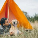 Top 5 Pet-Friendly Campsites in the U.S. for an Unforgettable Outdoor Experience with Your Pets