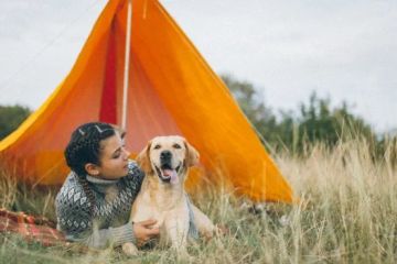 Top 5 Pet-Friendly Campsites in the U.S. for an Unforgettable Outdoor Experience with Your Pets
