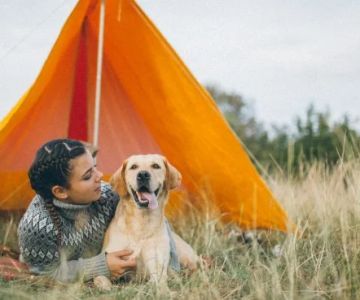 Top 5 Pet-Friendly Campsites in the U.S. for an Unforgettable Outdoor Experience with Your Pets