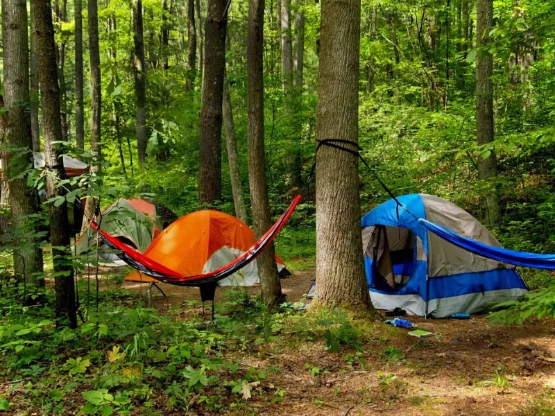 Top 10 Campsites Off the Beaten Path in the U.S.