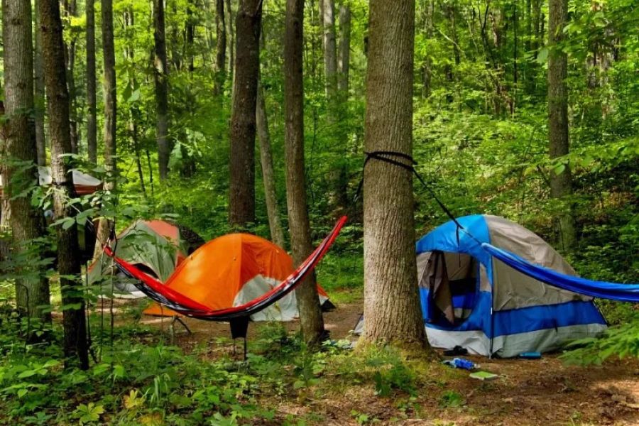 Top 10 Campsites Off the Beaten Path in the U.S.