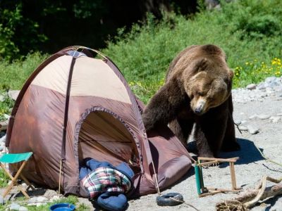 How to Keep Your Campsite Safe from Wildlife