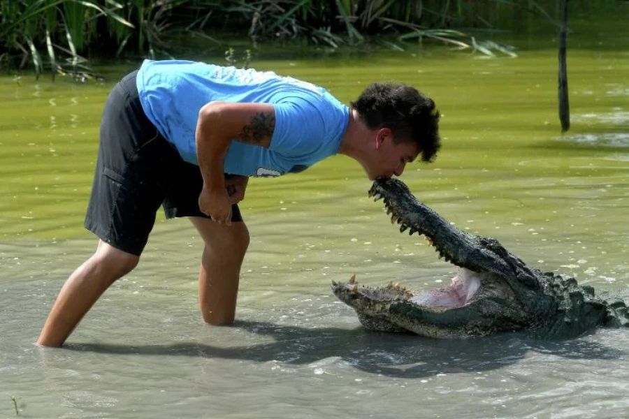 How to Stay Safe While Camping in Alligator Country