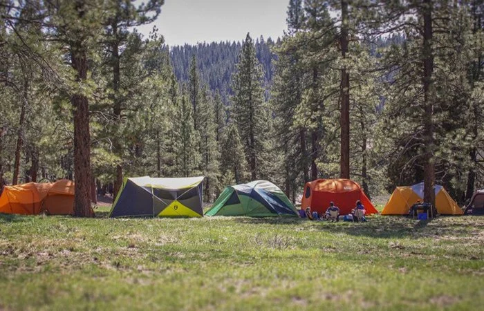 How to Choose the Right Camping Tent for All Seasons - Expert Tips and Recommendations