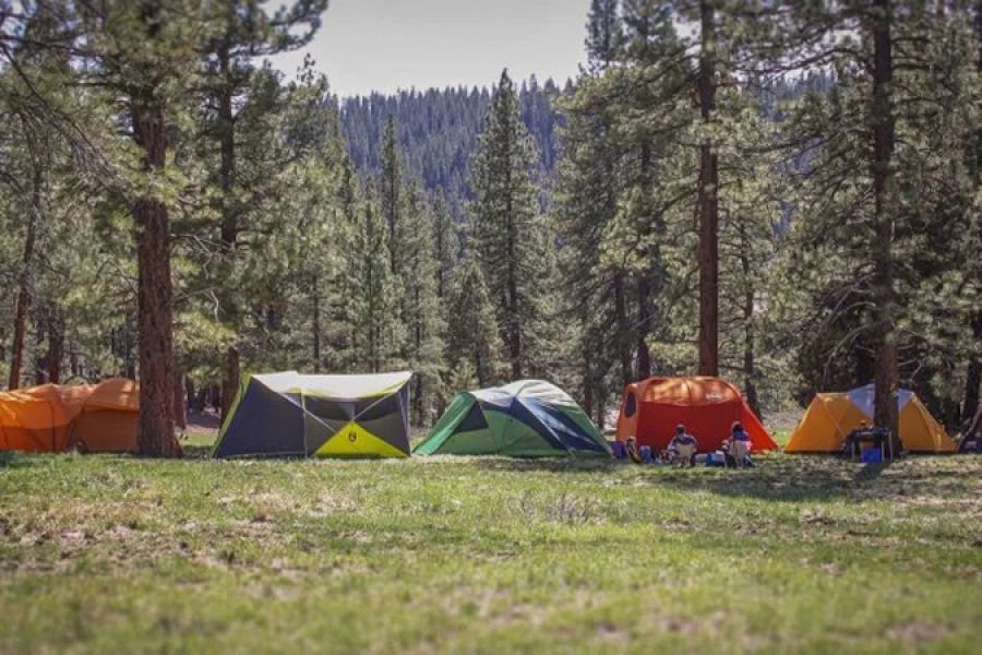 How to Choose the Right Camping Tent for All Seasons - Expert Tips and Recommendations