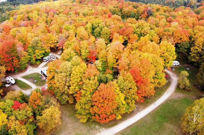 Top 5 Scenic Campgrounds for Fall Foliage in the U.S.