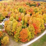 Top 5 Scenic Campgrounds for Fall Foliage in the U.S.